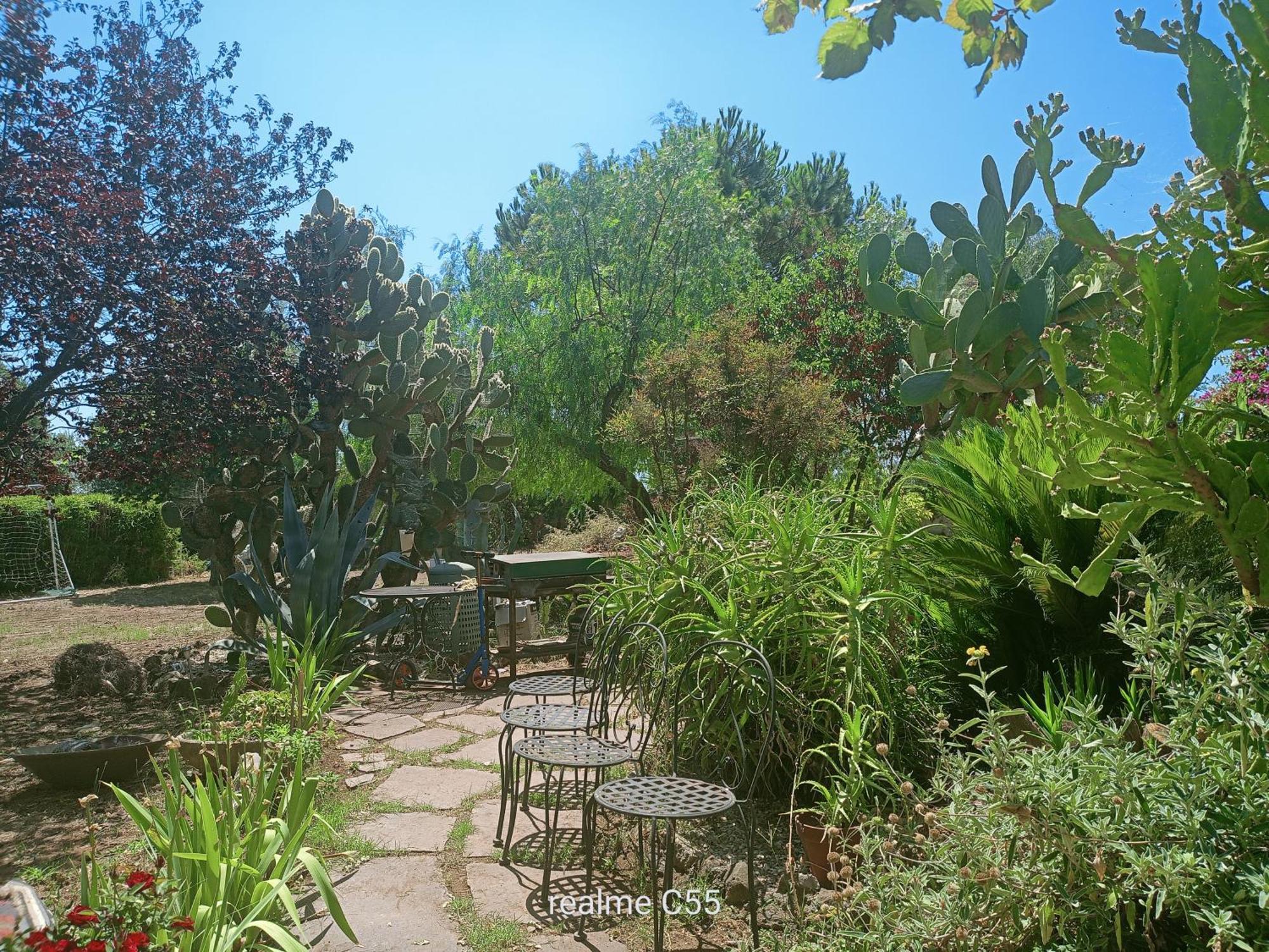 La Casa Di Fede Hotel Lanuvio ภายนอก รูปภาพ
